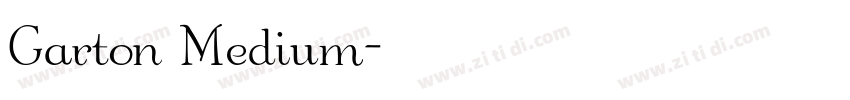 Garton Medium字体转换